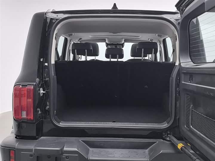 Tank 300 2024 2024款 2.0T 挑战者