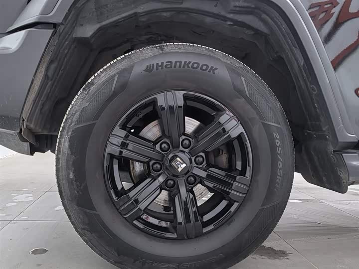 Tank 300 2024 2024款 2.0T 挑战者