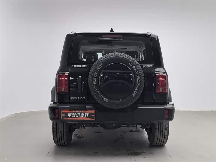 Tank 300 2024 2024款 2.0T 挑战者