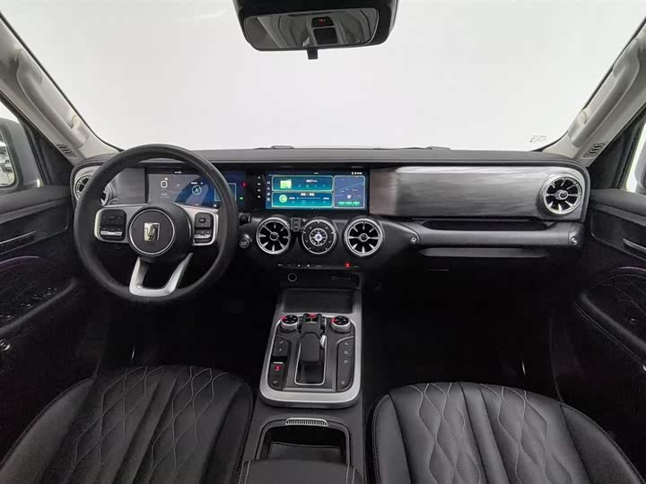 Tank 300 2024 2024款 2.0T 挑战者