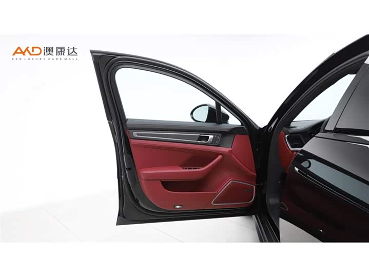 Porsche Panamera Hybrid 2023 2023款 改款 Panamera 4 E-Hybrid 铂金版 2.9T
