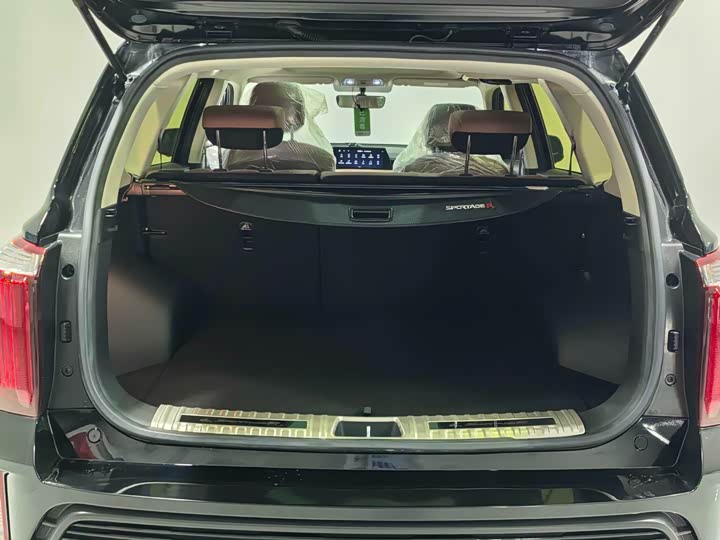 Kia Sportage GT-line 2021 2021款 Ace 2.0L 精彩版