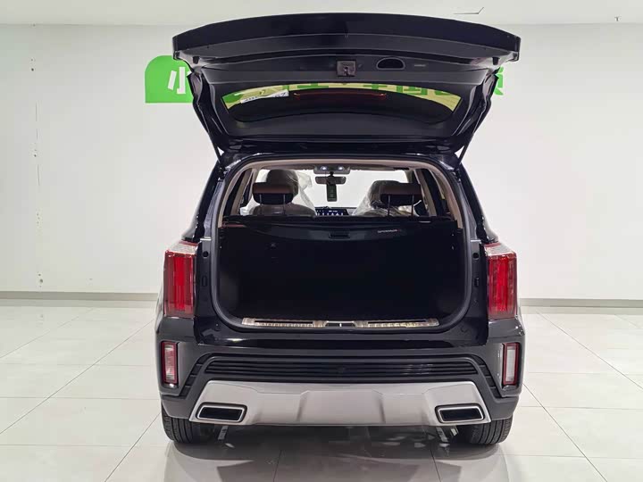 Kia Sportage GT-line 2021 2021款 Ace 2.0L 精彩版