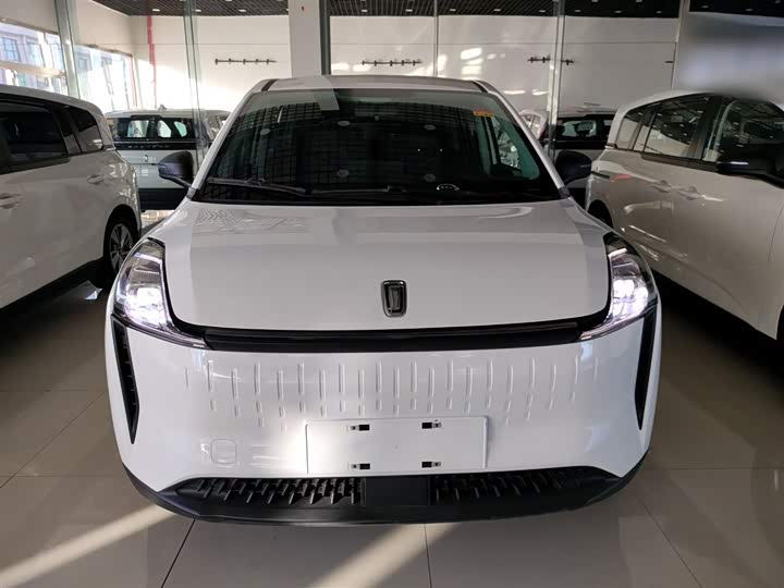 Bestune NAT 2023 2023款 PRO 舒享出行版 419km