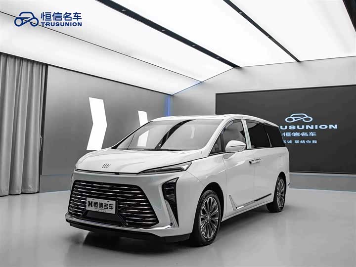 Buick GL8 ES 2025 2025款 陆尊 尊享版