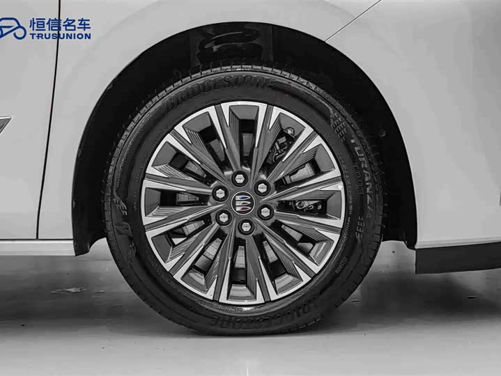 Buick GL8 ES 2025 2025款 陆尊 尊享版