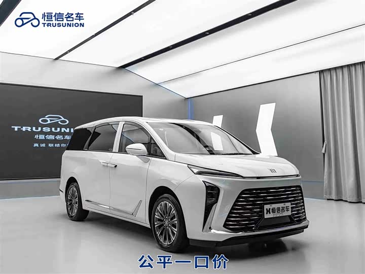 Buick GL8 ES 2025 2025款 陆尊 尊享版