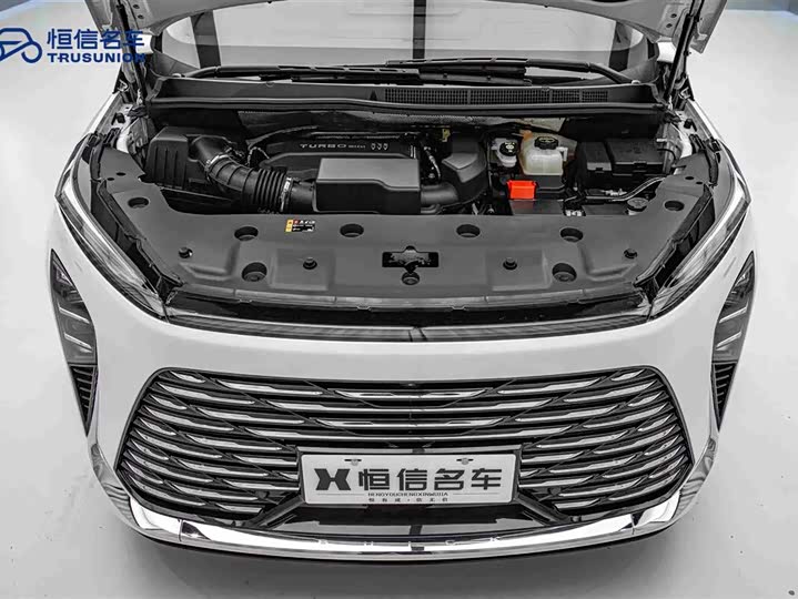 Buick GL8 ES 2025 2025款 陆尊 尊享版