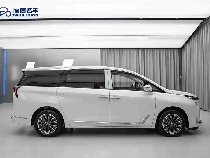 Buick GL8 ES 2025 2025款 陆尊 尊享版