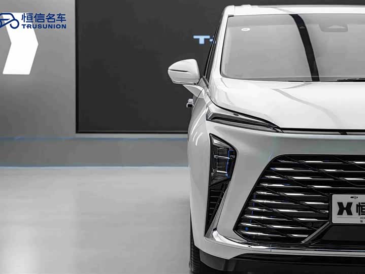 Buick GL8 ES 2025 2025款 陆尊 尊享版