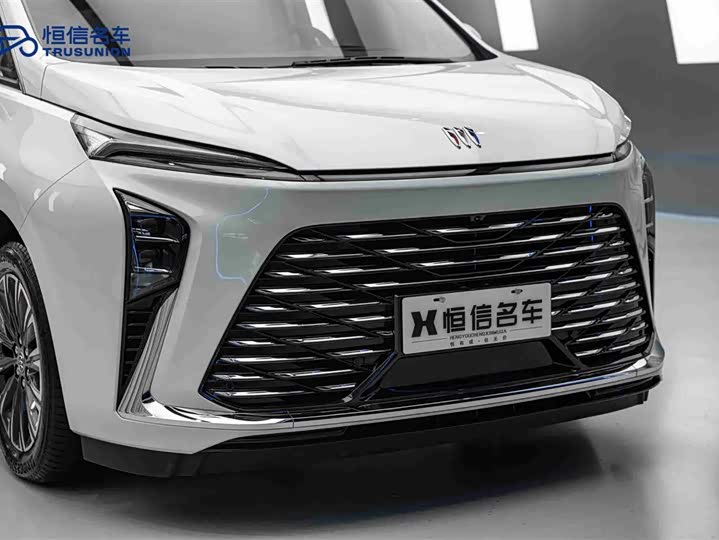 Buick GL8 ES 2025 2025款 陆尊 尊享版