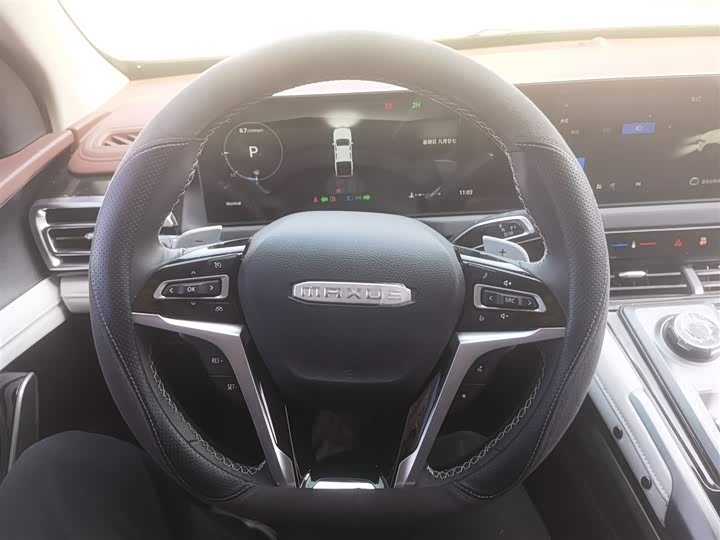 Maxus Star 2023 2023款 星际H 2.0T 自动 柴油单增压四驱精英版 长轴