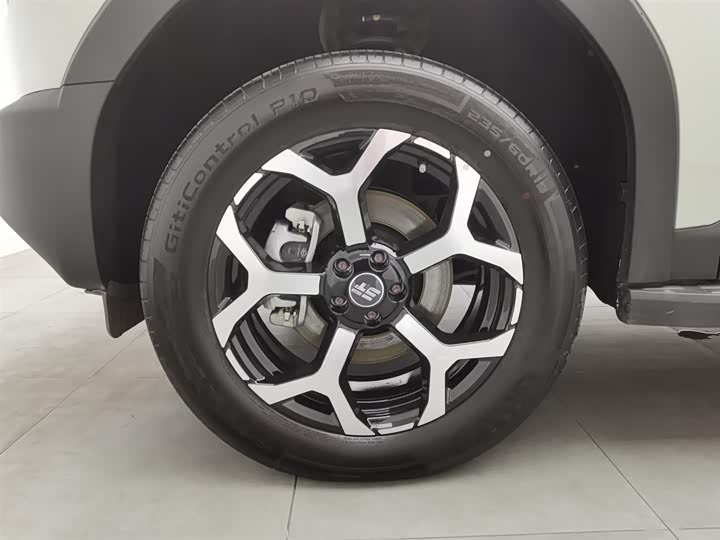 Jetour Shanhai T1 2024 2024款 150km 向海