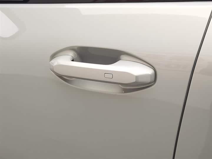 Jetour Shanhai T1 2024 2024款 150km 向海