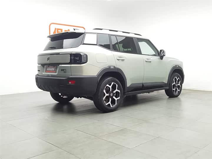 Jetour Shanhai T1 2024 2024款 150km 向海