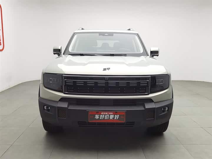 Jetour Shanhai T1 2024 2024款 150km 向海