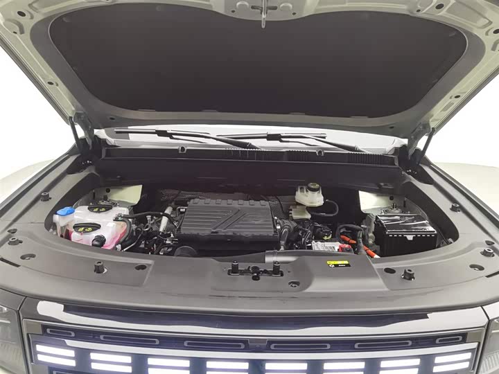 Jetour Shanhai T1 2024 2024款 150km 向海