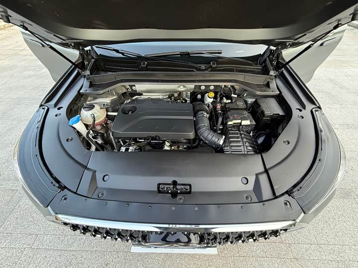 Chery Tiggo 8L 2024 2024款 2.0T 两驱尊贵版 5座