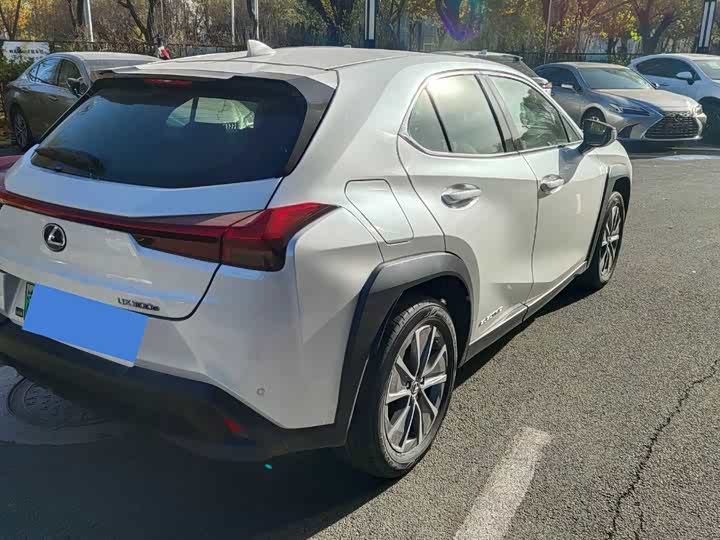 Lexus UX Hybrid 2020 2020款 300e 纯·悦版