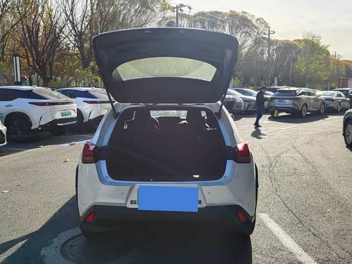 Lexus UX Hybrid 2020 2020款 300e 纯·悦版