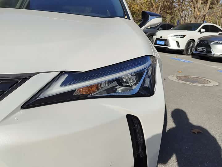 Lexus UX Hybrid 2020 2020款 300e 纯·悦版