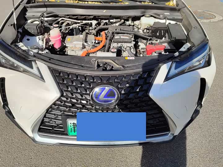 Lexus UX Hybrid 2020 2020款 300e 纯·悦版