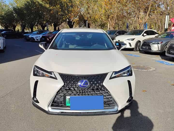 Lexus UX Hybrid 2020 2020款 300e 纯·悦版