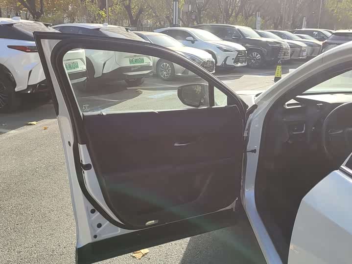 Lexus UX Hybrid 2020 2020款 300e 纯·悦版