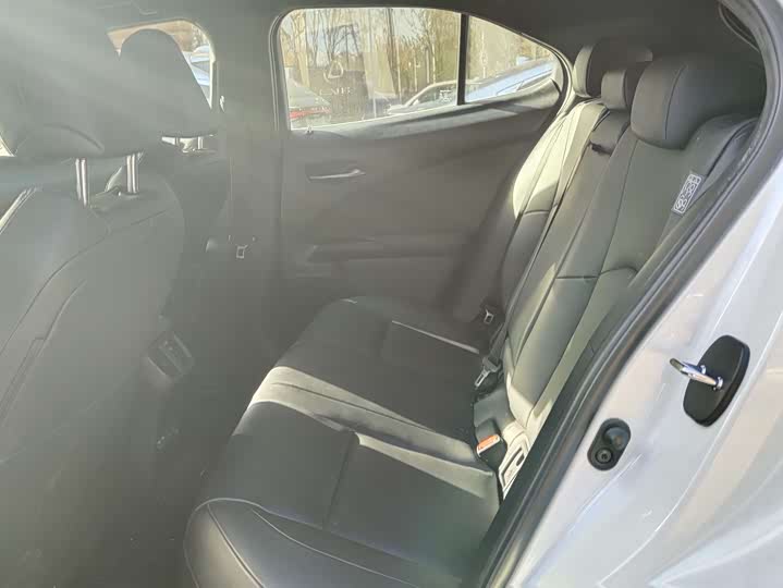 Lexus UX Hybrid 2020 2020款 300e 纯·悦版