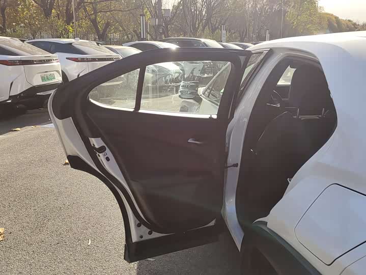 Lexus UX Hybrid 2020 2020款 300e 纯·悦版