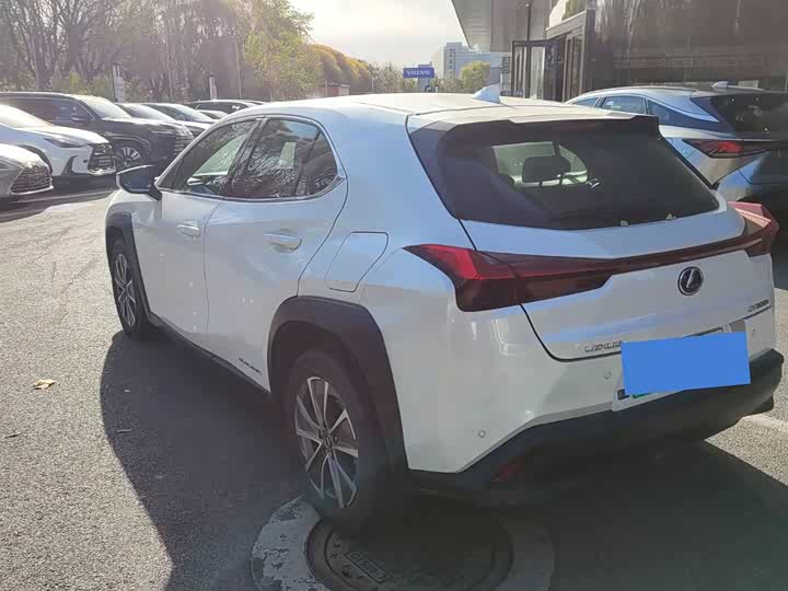 Lexus UX Hybrid 2020 2020款 300e 纯·悦版