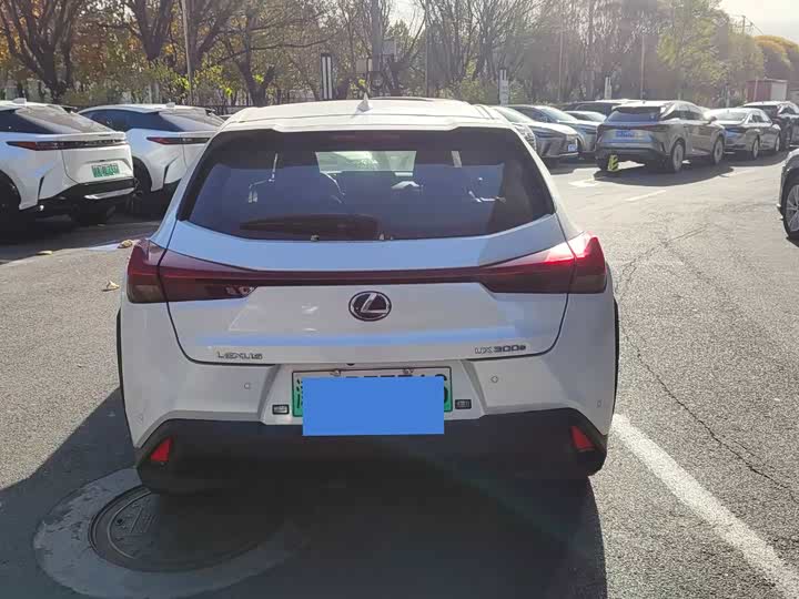 Lexus UX Hybrid 2020 2020款 300e 纯·悦版