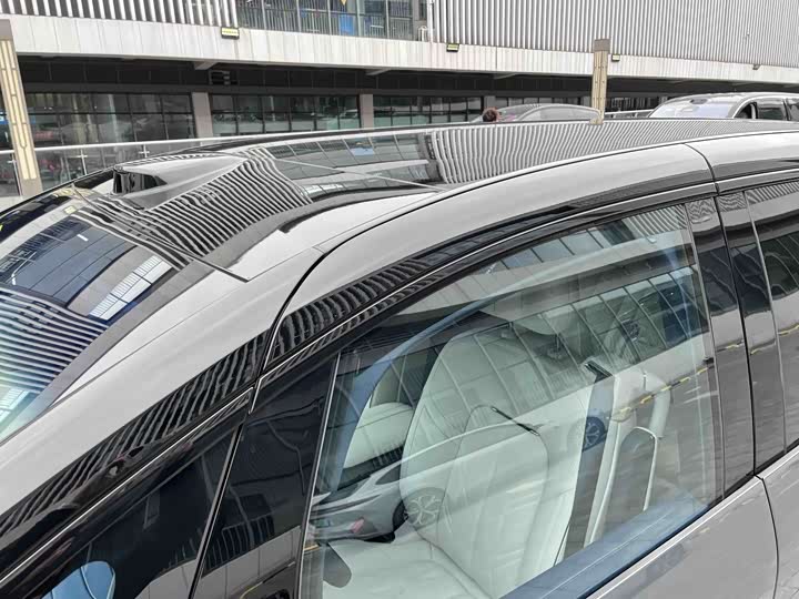 Zeekr Mix 2025 2025款 长续航智驾版