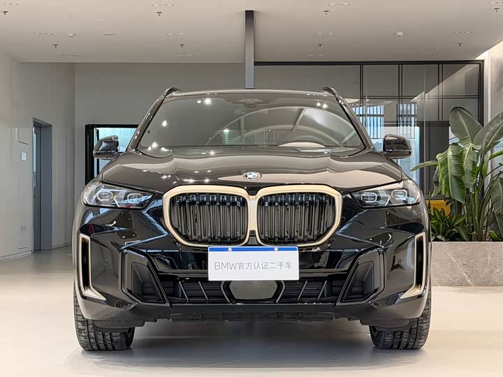 BMW X5 2024 2024款 xDrive 40Li 尊享型黑焰限量版