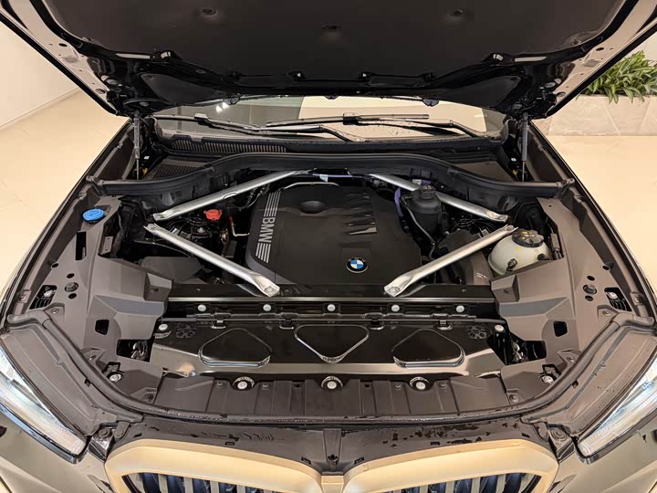 BMW X5 2024 2024款 xDrive 40Li 尊享型黑焰限量版
