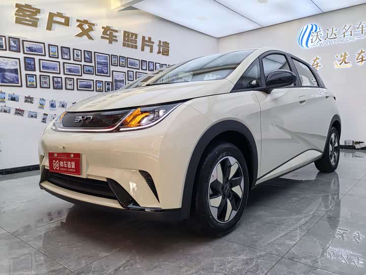 2025 BYD Dolphin