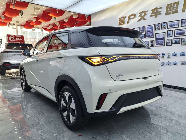 BYD Dolphin 2025 2025款 420km 自由版