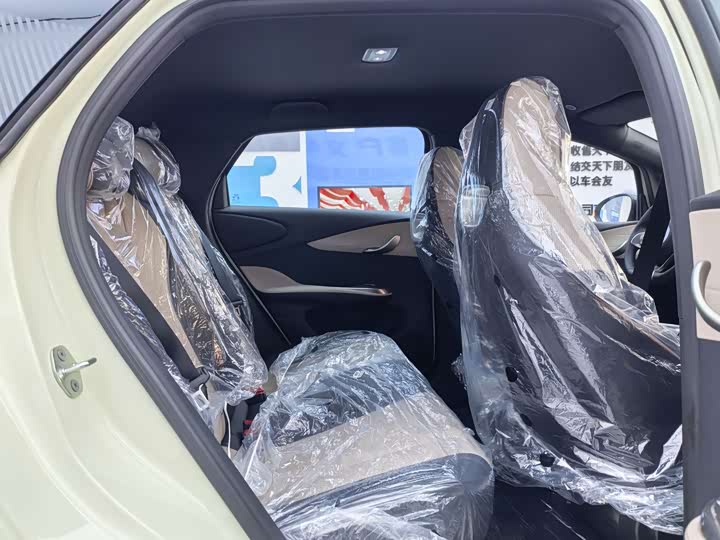 BYD Dolphin 2025 2025款 420km 自由版