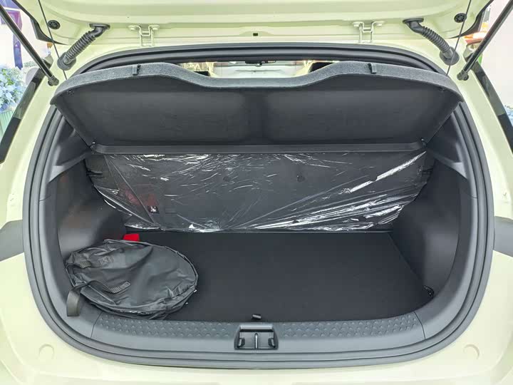 BYD Dolphin 2025 2025款 420km 自由版