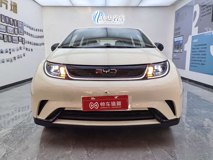 2025 BYD Dolphin