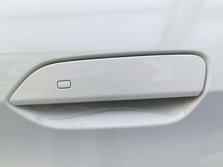 BYD Dolphin 2025 2025款 420km 自由版