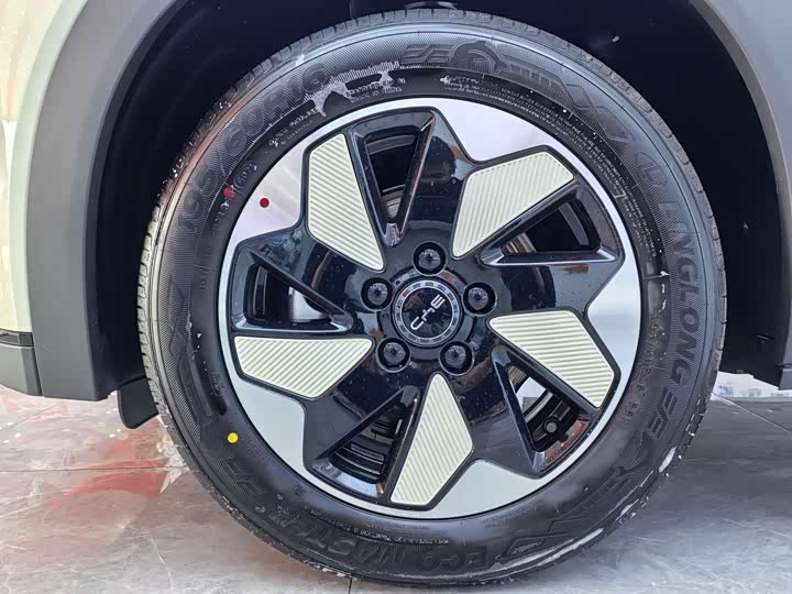 BYD Dolphin 2025 2025款 420km 自由版