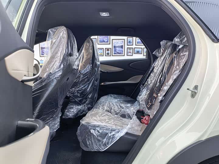 BYD Dolphin 2025 2025款 420km 自由版