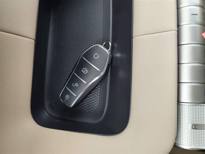 BYD Dolphin 2025 2025款 420km 自由版