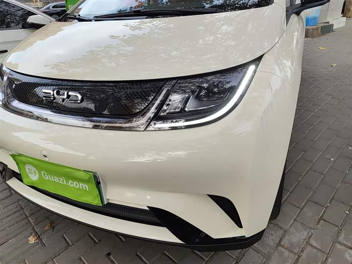 BYD Dolphin 2025 2025款 420km 自由版