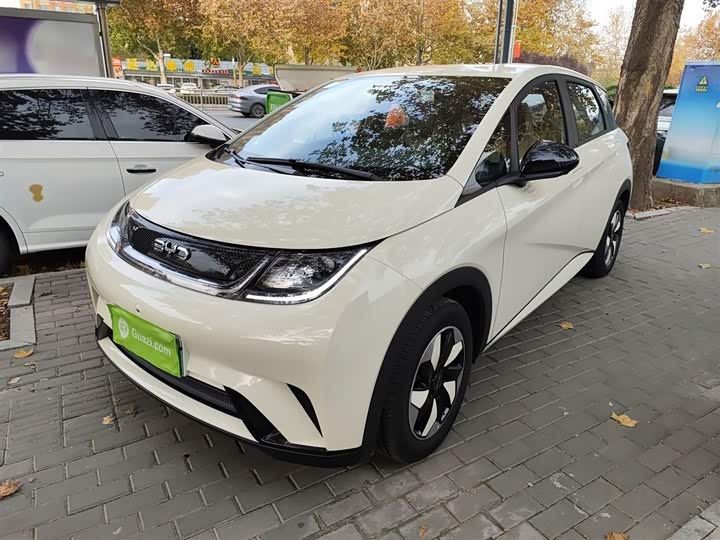 BYD Dolphin 2025 2025款 420km 自由版