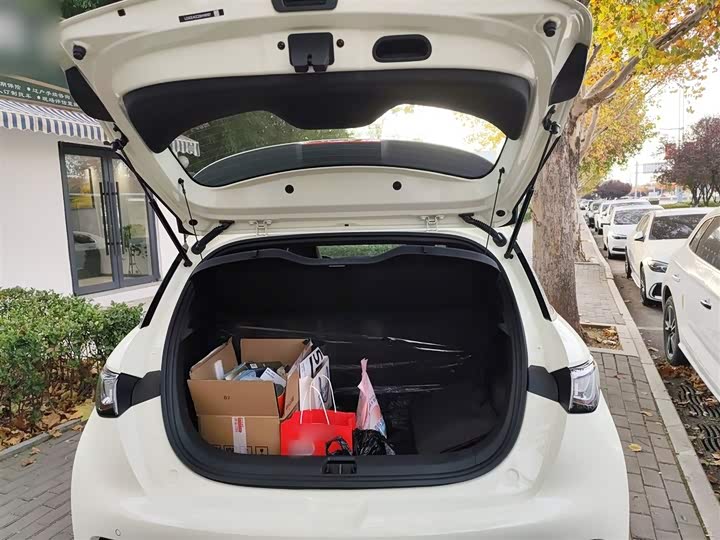 BYD Dolphin 2025 2025款 420km 自由版