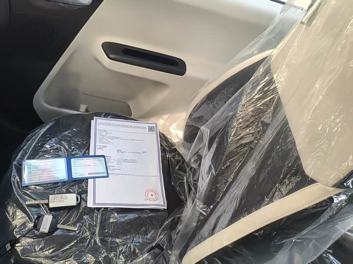 Changan Qiyuan (Nevo) Lumin 2026 2026款 宝藏版 205km 酷爱米 宁德