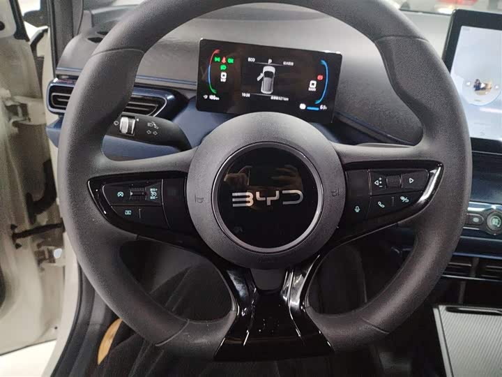 BYD Seagull 2025 2025款 305km 活力版