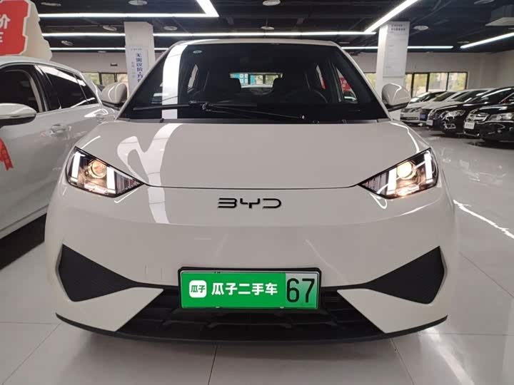 BYD Seagull 2025 2025款 305km 活力版